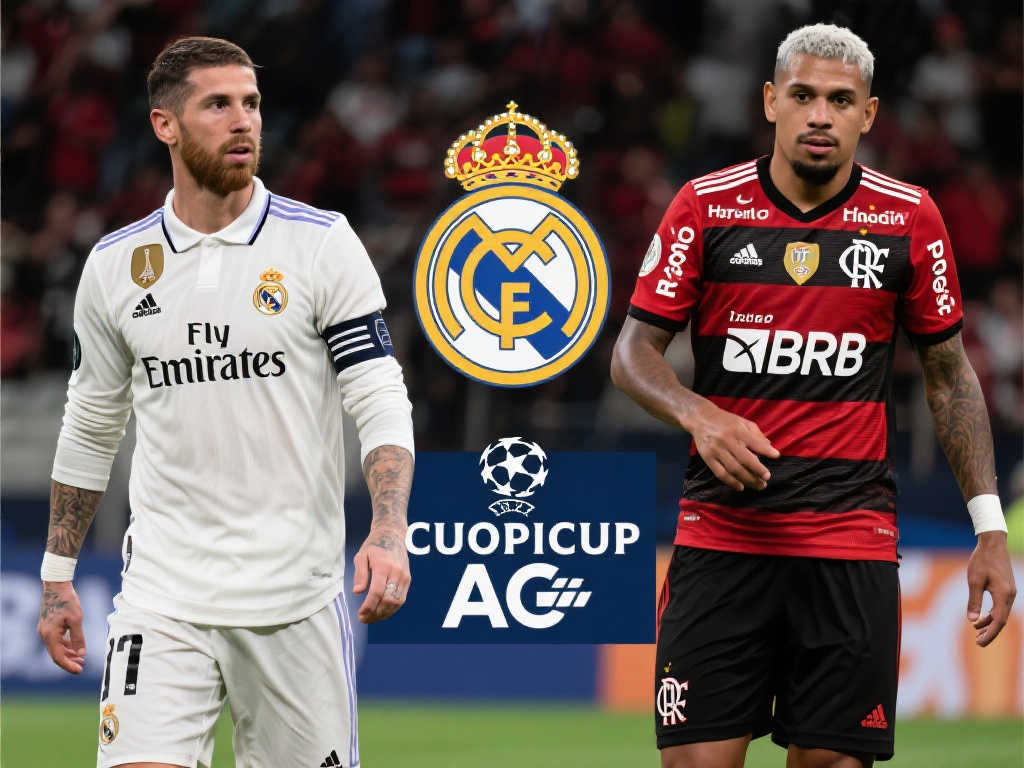 段接到队友 段接到队友