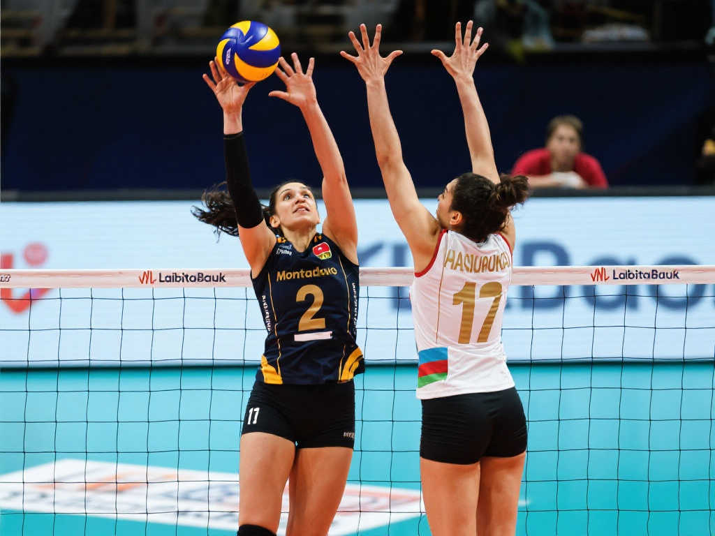 球员的转会 球员的转会